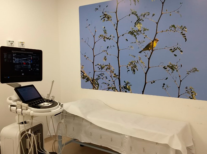 Borgess Hospital Patient Portal Borgess Hospital Patient Portal